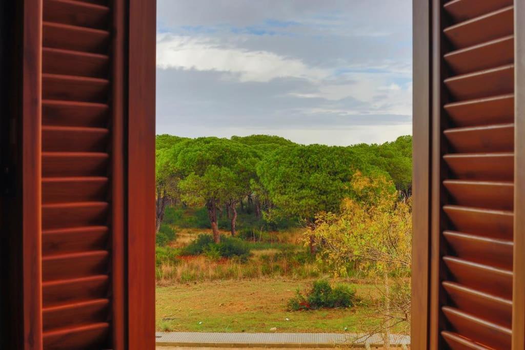 Precioso Apartamento A 700 M Del Mar Chiclana de la Frontera Exterior photo